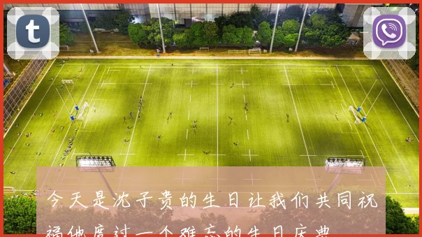 今天是沈子贵的生日让我们共同祝福他度过一个难忘的生日庆典