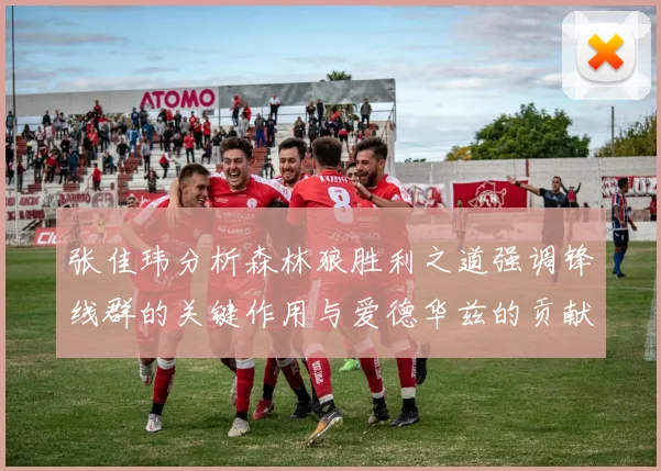 张佳玮分析森林狼胜利之道强调锋线群的关键作用与爱德华兹的贡献