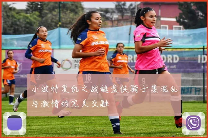 小波特复仇之战键盘侠骑士集混乱与激情的完美交融